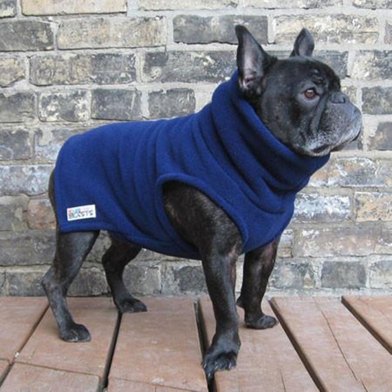 Blue Fleece Turtleneck - Extra Small Dog Size