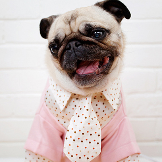 Pink Polka Dot Shirt - Extra Small Dog Size