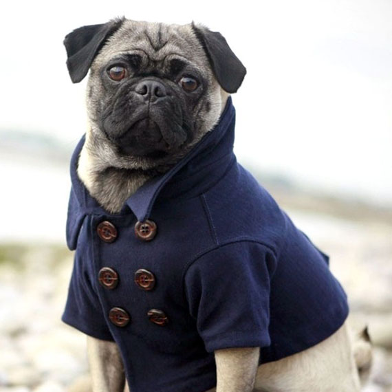 Blue Double-Breasted Coat - Extra Small Dog Size