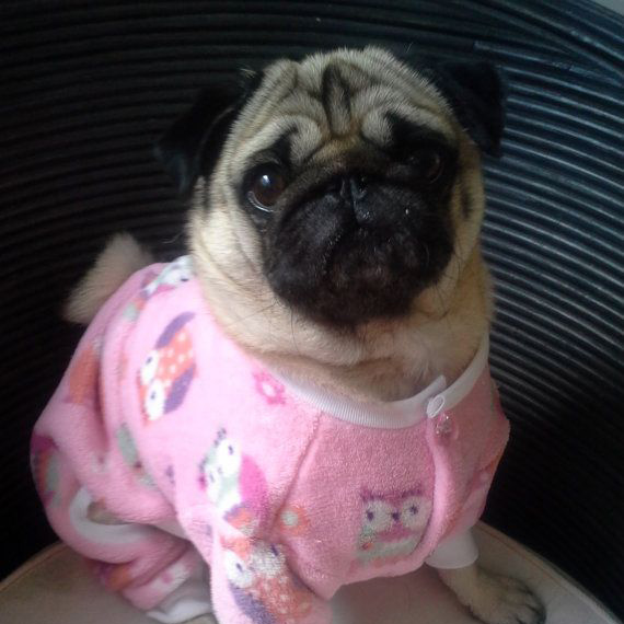 Pink Pajamas - Extra Small Dog Size